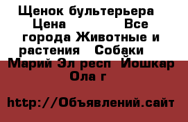 Щенок бультерьера › Цена ­ 35 000 - Все города Животные и растения » Собаки   . Марий Эл респ.,Йошкар-Ола г.